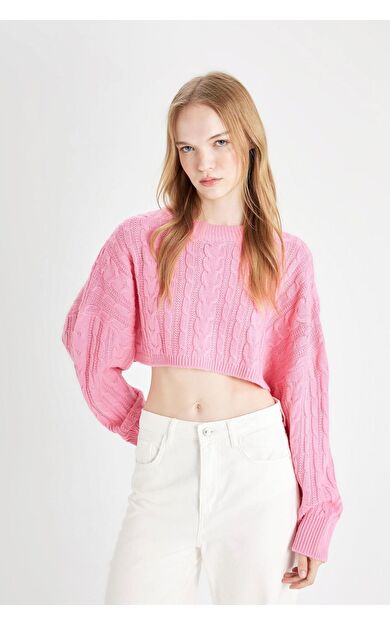 DeFacto Coool Regular Fit Crop Bisiklet Yaka Kazak T4518AZ24WNPN450