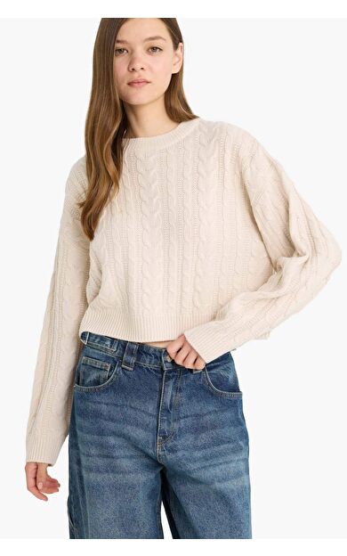 DeFacto Coool Regular Fit Bisiklet Yaka Triko Kazak