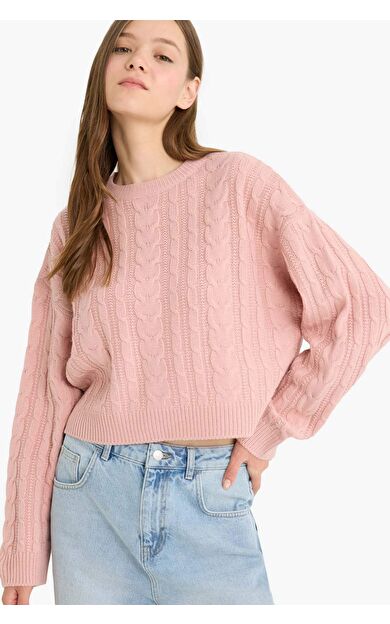 DeFacto Coool Regular Fit Bisiklet Yaka Triko Kazak