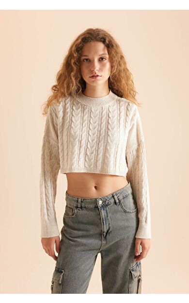 DeFacto Coool Regular Fit Bisiklet Yaka Triko Kazak T4518AZNSBG300