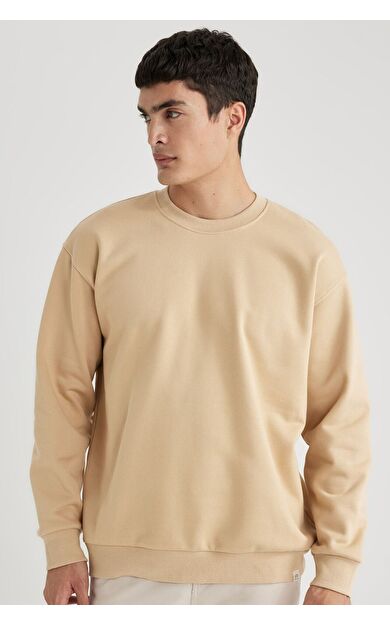 DeFacto Oversize Fit Sweatshirt T5139AZ24SPBG320