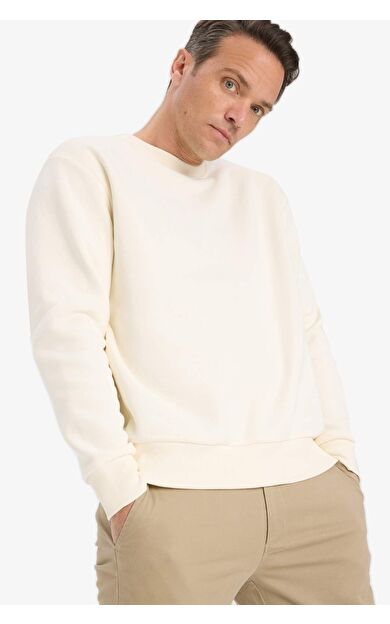 DeFacto Relax Fit Bisiklet Yaka Kalın İçi Yumuşak Tüylü Basic Düz Sweatshirt T5139AZ25AUER140