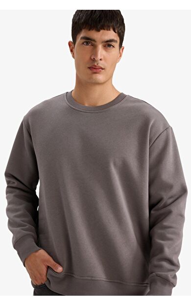 DeFacto Relax Fit Bisiklet Yaka Kalın Sweatshirt Kumaşı Sweatshirt T5139AZ25AUGR438