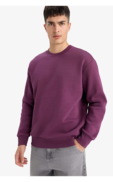 DeFacto Relax Fit Bisiklet Yaka Kalın Sweatshirt Kumaşı Sweatshirt T5139AZ25AUPR79