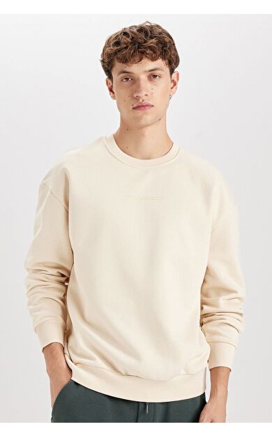DeFacto Boxy Fit Bisiklet Yaka Baskılı Sweatshirt X8282AZ24AUBG700
