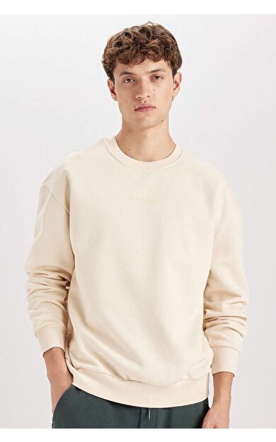 DeFacto Boxy Fit Bisiklet Yaka Baskılı Sweatshirt X8282AZ24AUBG700
