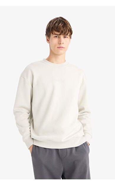 DeFacto Boxy Fit Bisiklet Yaka Baskılı Sweatshirt X8282AZ25AUBG672