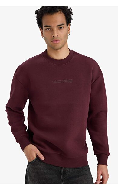 Boxy Fit Bisiklet Yaka İçi Yumuşak Tüylü Baskılı Sweatshirt