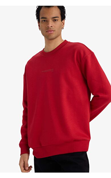 Boxy Fit Bisiklet Yaka İçi Yumuşak Tüylü Baskılı Sweatshirt