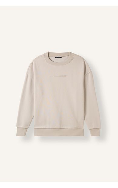 DeFacto Boxy Fit Uzun Kollu Pamuklu Bisiklet Yaka İçi Yumuşak Tüylü Baskılı Sweatshirt Gri