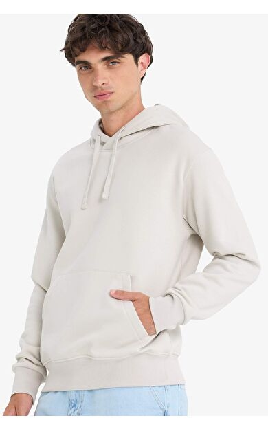 DeFacto Regular Fit Kapüşonlu Sweatshirt X8283AZ25AUBG766