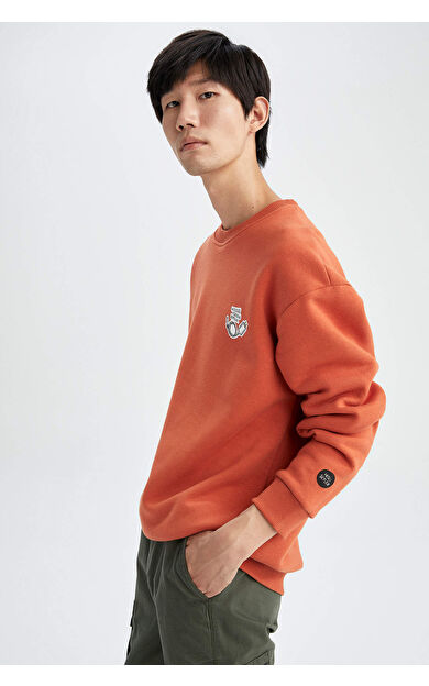 DeFacto Hisli Şeyler Boxy Fit Bisiklet Yaka İçi Yumuşak Tüylü Sweatshirt