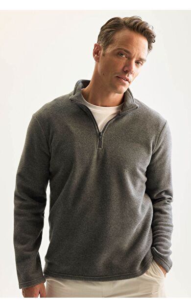 DeFacto Regular Fit Dik Yaka Polar Sweatshirt Y3996AZNSAR198