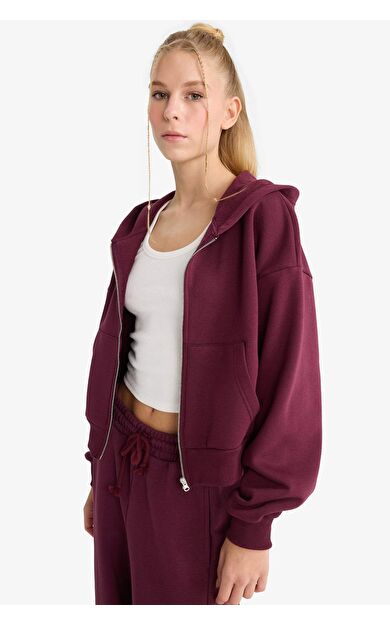 DeFacto Coool Cropped Fit Kapüşonlu Kalın Fermuarlı Sweatshirt Z7069AZ25WNBR232