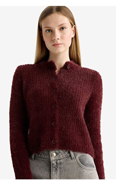 DeFacto Coool Slim Fit Dar Kesim Bisiklet Yaka Triko Hırka Z9318AZ25WNBR452