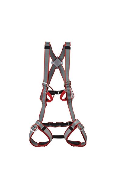 DMM Tom Kitten Emniyet Kemeri Kırmızı/Gri