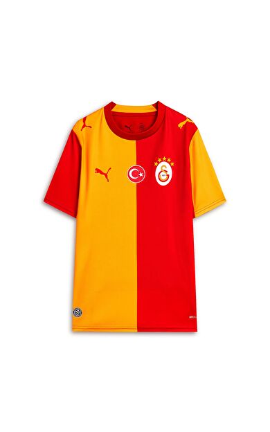 Puma Gs Galatasaray 26-27 İç Saha Erkek Forması Kırmızı