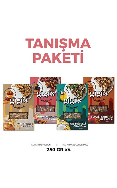 Gigi's Granola ( 4 adet karışık )