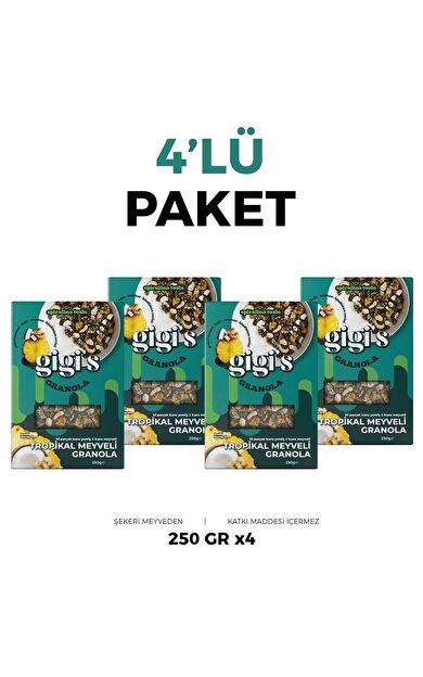 Gigi's Tropikal Meyveli Granola ( 4 adet )