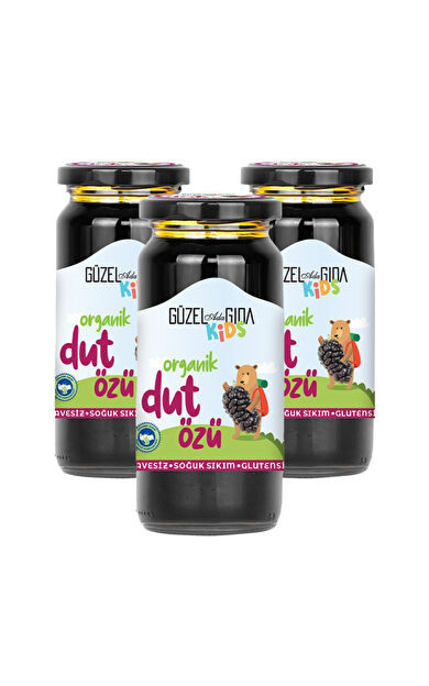 Güzel Ada Gıda Kids Organik Dut Özü 3X290 Gr