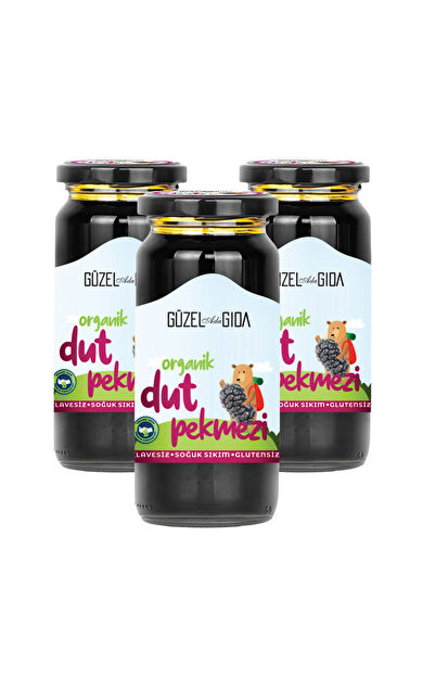 Güzel Ada Gıda Kids Organik Dut Özü 3X290 Gr