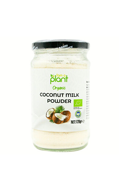 Güzel Ada Gıda Organik Hindistan Cevizi Sütü Tozu 120 Gr