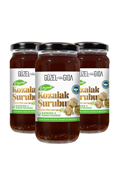 Güzel Ada Gıda Organik Kozalak Şurubu 3X230 Ml