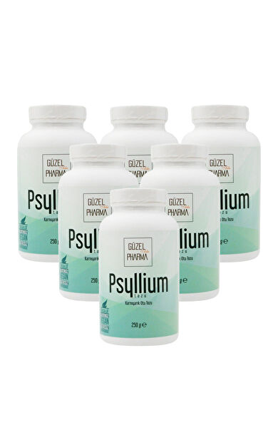Güzel Ada Gıda Psyllium Karnıyarık Otu Tozu 6X250 Gr