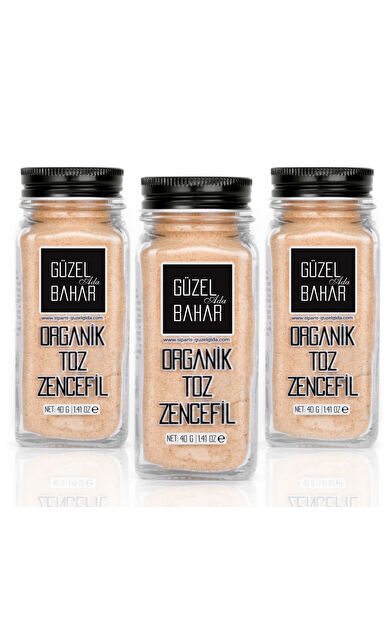 Güzel Ada Gıda Organik Toz Zencefil 3X40 Gr
