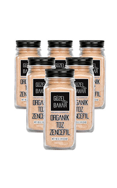 Güzel Ada Gıda Organik Toz Zencefil 6X40 Gr