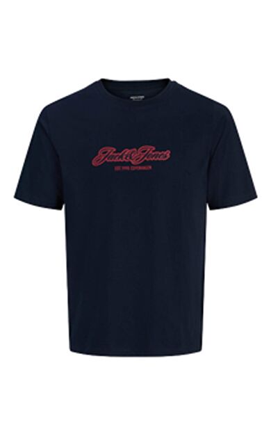 Jack & Jones Catskills Erkek Tişört 12297893
         Sky captain