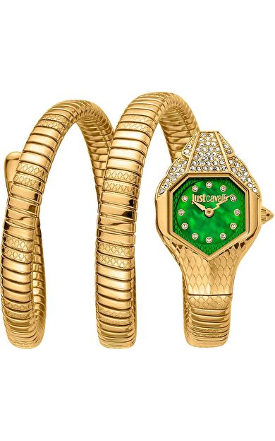 JUST CAVALLI JC1L193M0035 Kadın Kol Saati