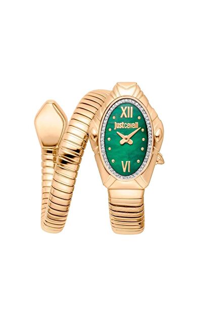 JUST CAVALLI JC1L357M0035 Kadın Kol Saati
