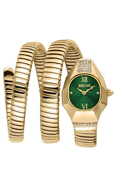 JUST CAVALLI JC1L397M0045 Kadın Kol Saati