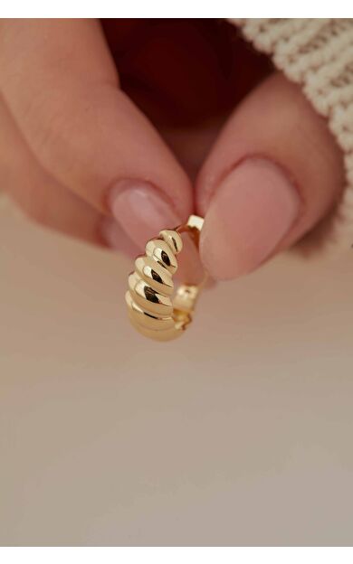 Kolyecik 14 Ayar Altın Burgu Halka Küpe