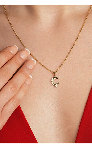 Kolyecik 14 Ayar Altın Kuzey Yıldızı Kolye Ucu