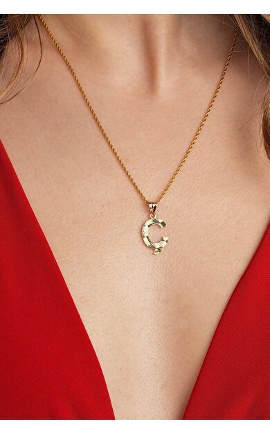 Kolyecik 14 Ayar Altın Kuzey Yıldızı Kolye Ucu