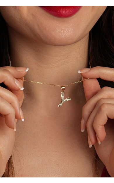 Kolyecik 14 Ayar Altın Kalkan Kolye Ucu