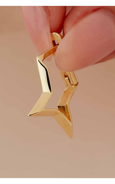 Kolyecik 14 Ayar Altın Yıldız Küpe