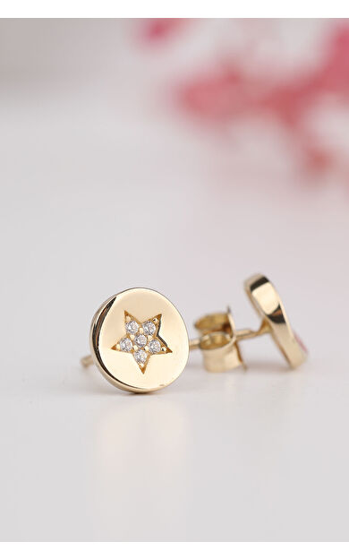 Kolyecik 14 Ayar Altın Aynalı Yıldız Küpe