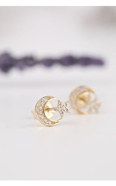 Kolyecik 14 Ayar Altın Ayyıldız Küpe