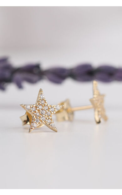 Kolyecik 14 Ayar Altın Ful Taşlı Yıldız Küpe