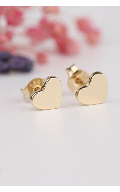 Kolyecik 14 Ayar Altın Taşsız Kalp Küpe