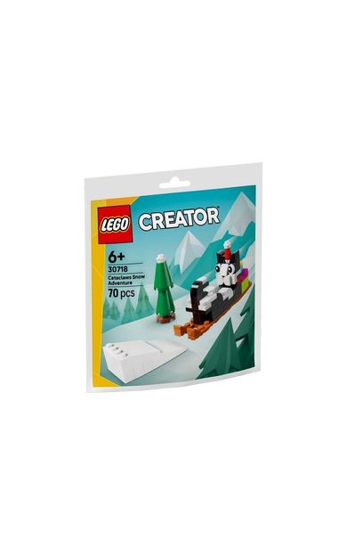 LEGO Creator 30718 Cataclaws Snow Adventure