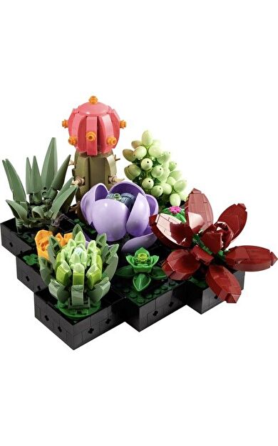 LEGO Creator Expert 10309 Succulents