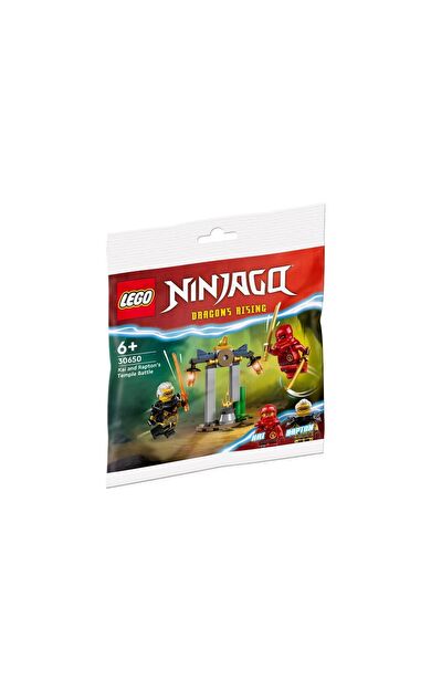 LEGO Ninjago 30650 Kai and Rapton's Temple Battle