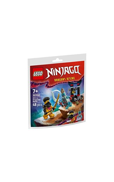 LEGO Ninjago 30700 Arin vs. Dragonian Battle