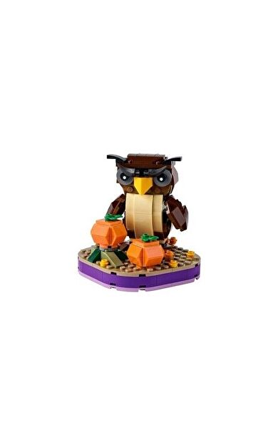 LEGO Seasonal 40497 Halloween Owl