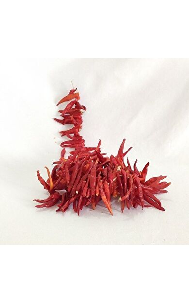 Acı Süs Biberi Tüm - 1 Bağ