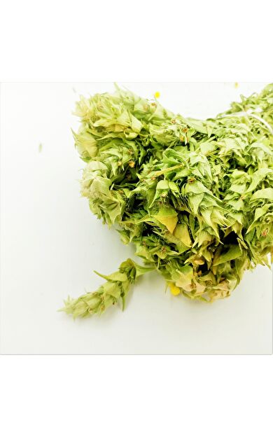 Adaçayı (Bir Demet)